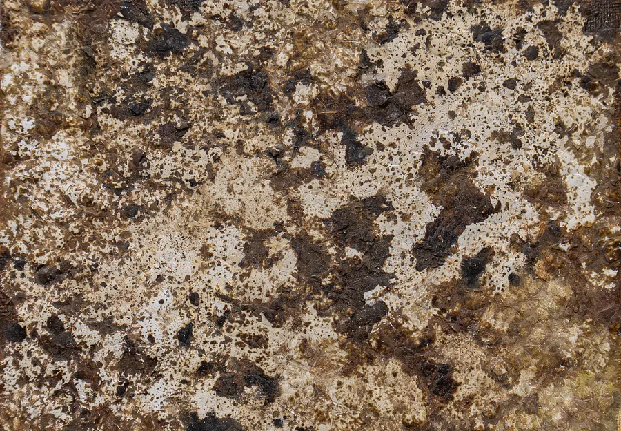 Image de SHUM par Natalia Bak, taille : 18 x 13 cm, fabriqué avec Toile sur carton, coquilles d'œufs de caille, plâtre, huile, médium Peinture, de Lublin, faisant partie de la série ÉTINCELLE, au prix de €80