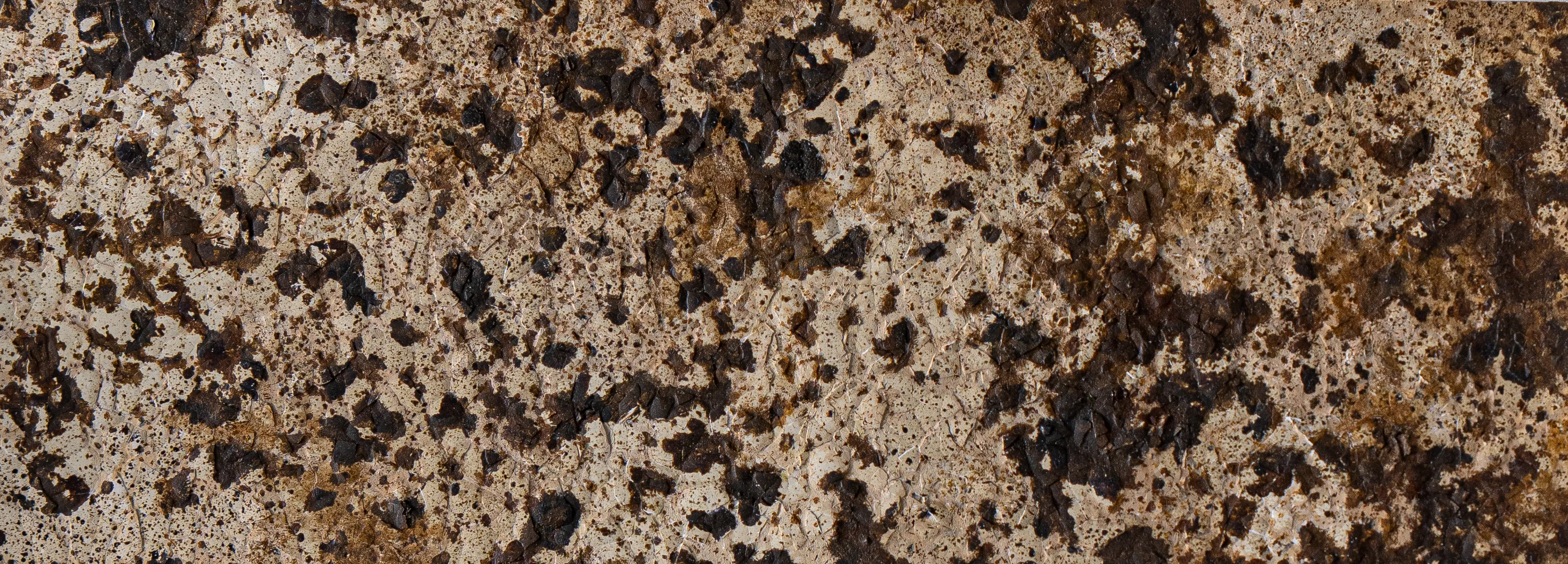 Obraz ECHO autorstwa Natalia Bak, rozmiar: 28 x 10 cm, wykonany z Płótno na tekturze, skorupki jaj przepiórczych, gips, olej, medium Malarstwo, z Lublin, część serii BŁYSK, cena: €130