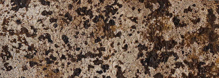 Obraz ECHO autorstwa Natalia Bak, rozmiar: 28 x 10 cm, wykonany z Płótno na tekturze, skorupki jaj przepiórczych, gips, olej, medium Malarstwo, z Lublin, część serii BŁYSK, cena: €130