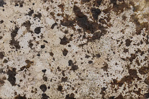 Image of KALEYDOSKOP by Natalia Bak, size: 15 x 10 cm, made of canvas on cardboard,quail eggshells, gupsum, oil, Painting medium, from Lublin, part of the GLIMMER series, priced at €190 Photo 3 of 3.