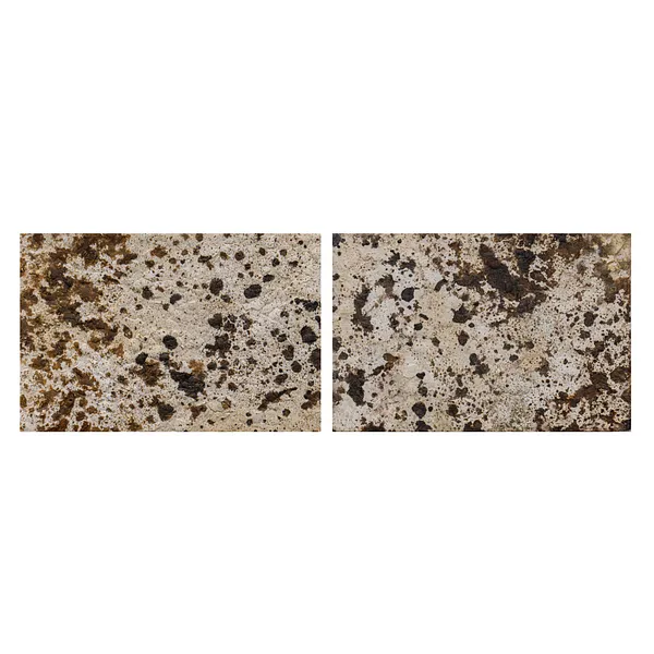 Image de K A L E Y D O S K O P par Natalia Bak, taille : 15 x 10 cm, fabriqué avec Toile sur carton, coquilles d'œufs de caille, plâtre, huile, médium Peinture, de Lublin, faisant partie de la série ÉTINCELLE, au prix de €190