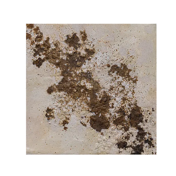 Image de VYKHOR par Natalia Bak, taille : 15 x 15 cm, fabriqué avec Toile sur carton, coquilles d'œufs de caille, plâtre, huile, médium Peinture, de Lublin, faisant partie de la série ÉTINCELLE, au prix de €90